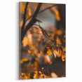 Golden Autumn Leaves – Soft Focus Fall Wall Art Print