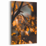 Golden Autumn Leaves – Soft Focus Fall Wall Art Print