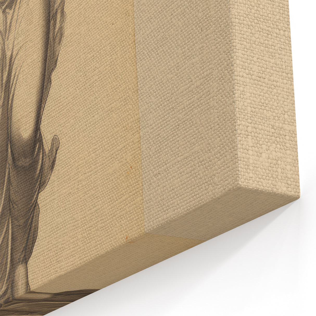 Antique Sculpture Portrait Art – Classic Retro Canvas & Prints