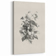 Vintage Botanical Art Print – Elegant Flower Illustration Art
