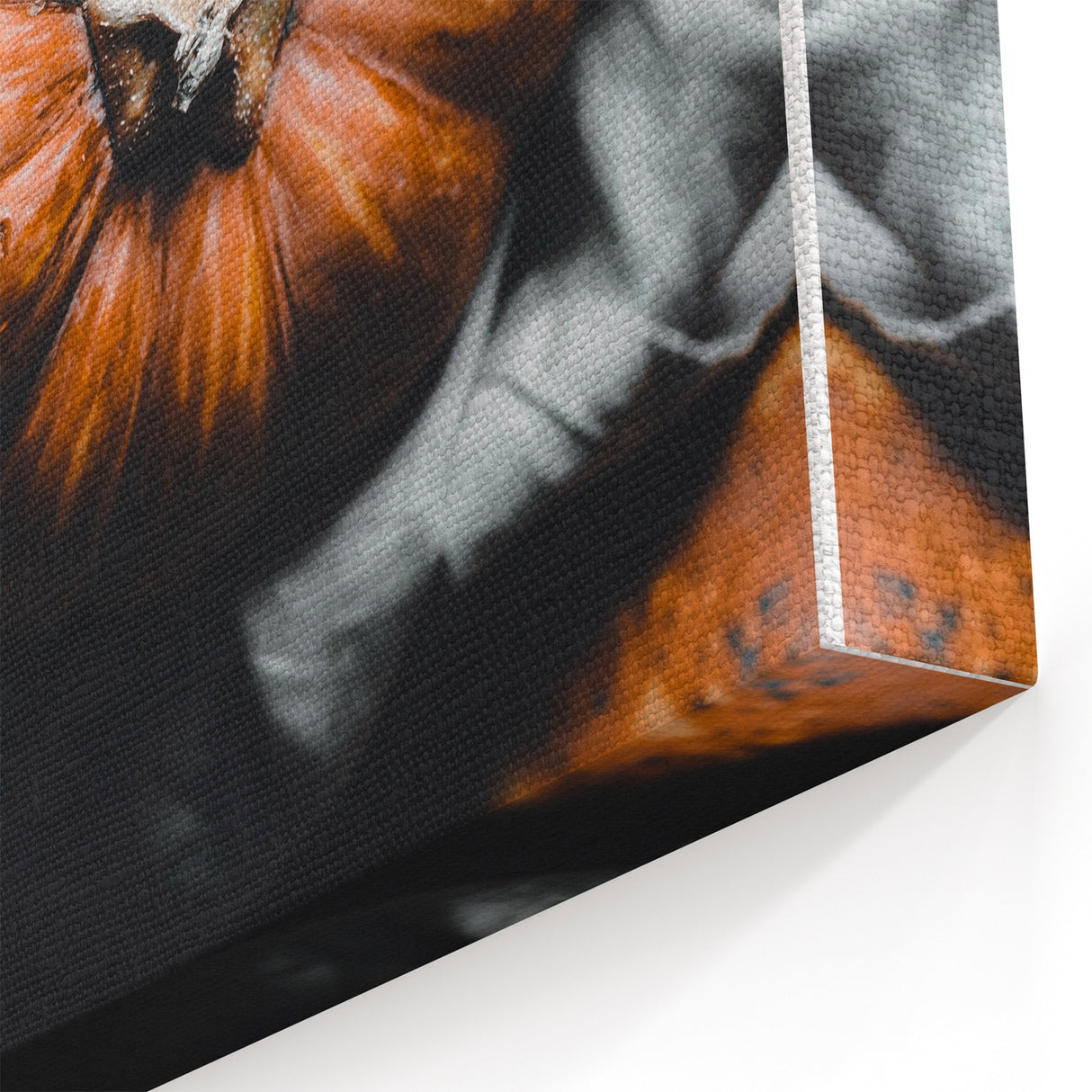 Harvest Pumpkin Still Life – Fall Wall Art for Cozy Decor