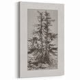 Botanical Etching – Forest Trees Nature Illustration Art Print