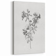 Botanical Art Print – Floral Illustration of Wild Flowers