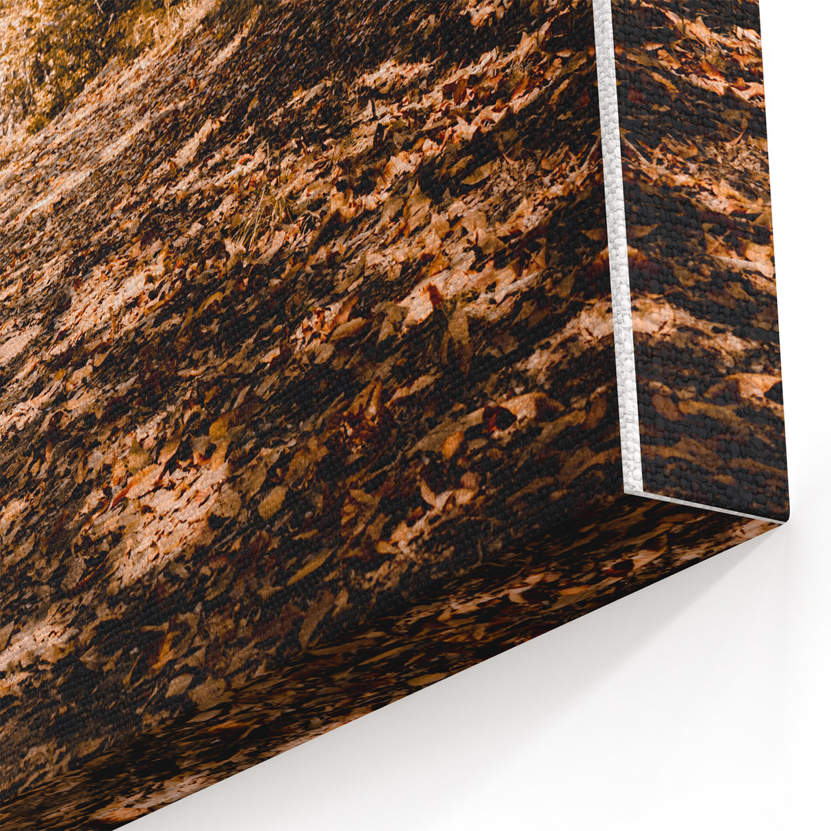 Autumn Forest Path – Fall Wall Art for Cozy Seasonal Decor