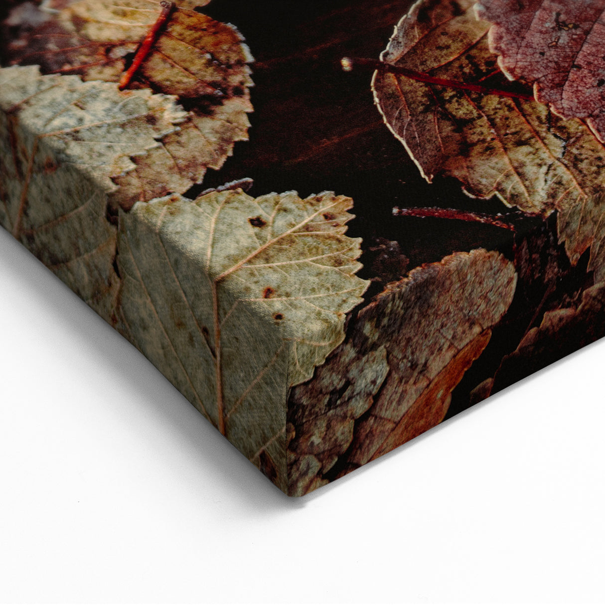 Rustic Autumn Leaves – Fall Wall Art for Seasonal Warmth