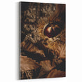 Autumn Chestnut Close-Up – Fall Wall Art for Rustic Decor