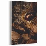 Autumn Chestnut Close-Up – Fall Wall Art for Rustic Decor
