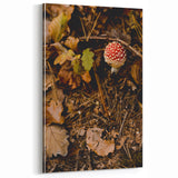 Autumn Forest Mushroom – Fall Wall Art for Rustic Nature Decor