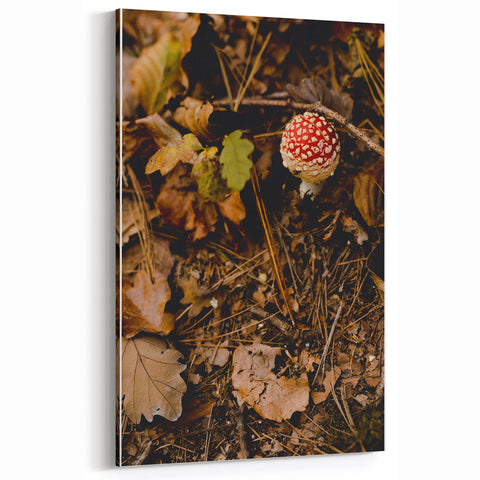 Autumn Forest Mushroom – Fall Wall Art for Rustic Nature Decor