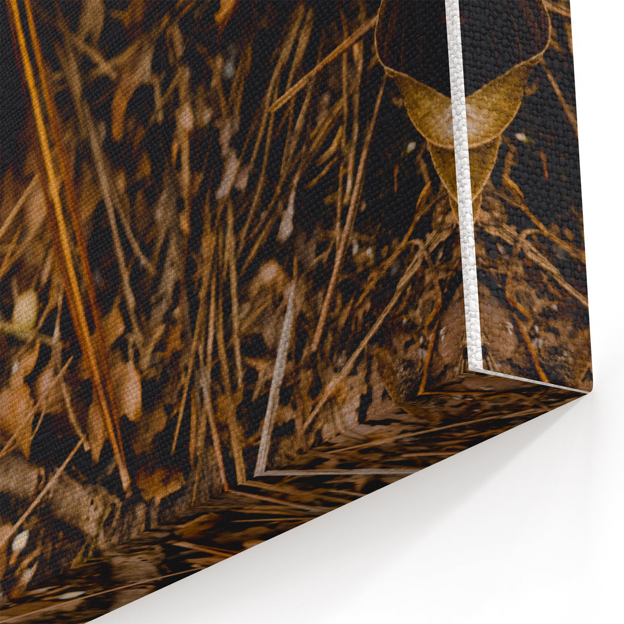 Autumn Forest Mushroom – Fall Wall Art for Rustic Nature Decor