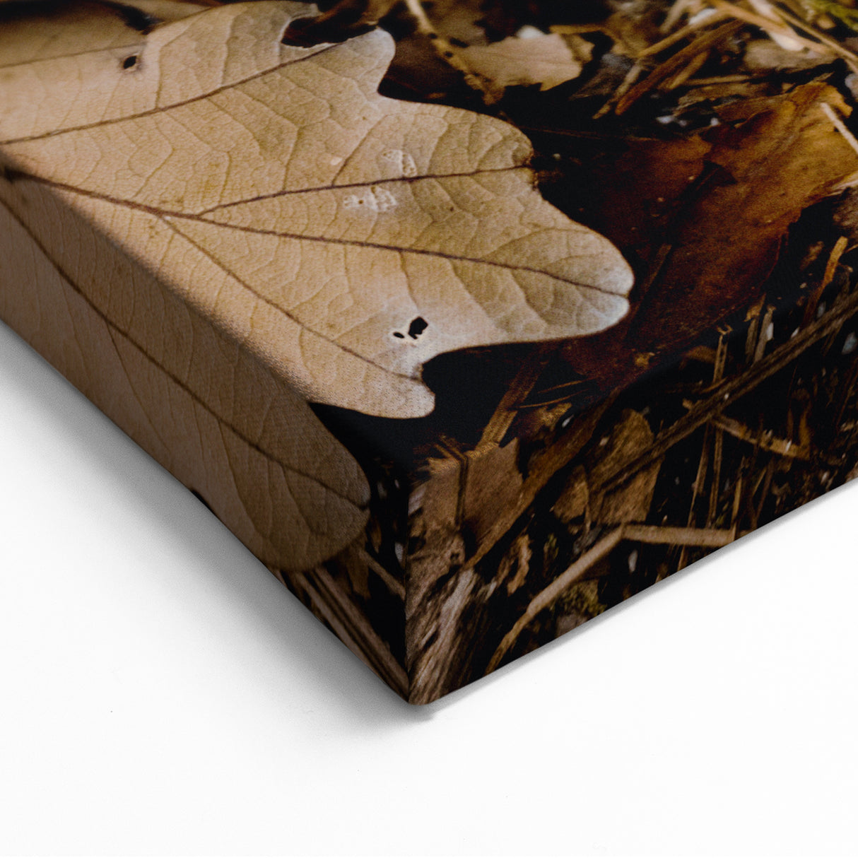 Autumn Forest Mushroom – Fall Wall Art for Rustic Nature Decor