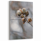 Frosted Autumn Seed Pods – Fall Wall Art for Elegant Decor