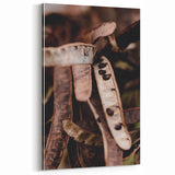 Rustic Seed Pods – Fall Wall Art for Natural Autumn Elegance