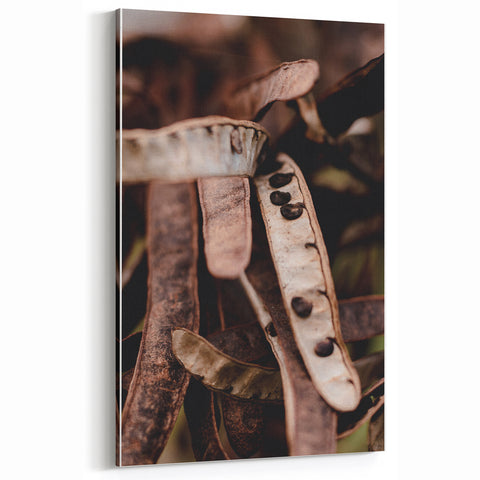 Rustic Seed Pods – Fall Wall Art for Natural Autumn Elegance