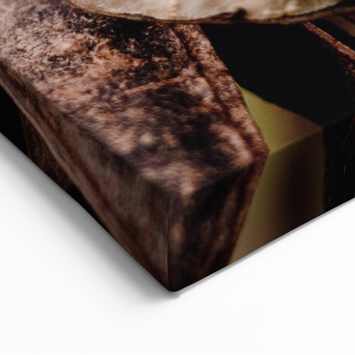 Rustic Seed Pods – Fall Wall Art for Natural Autumn Elegance