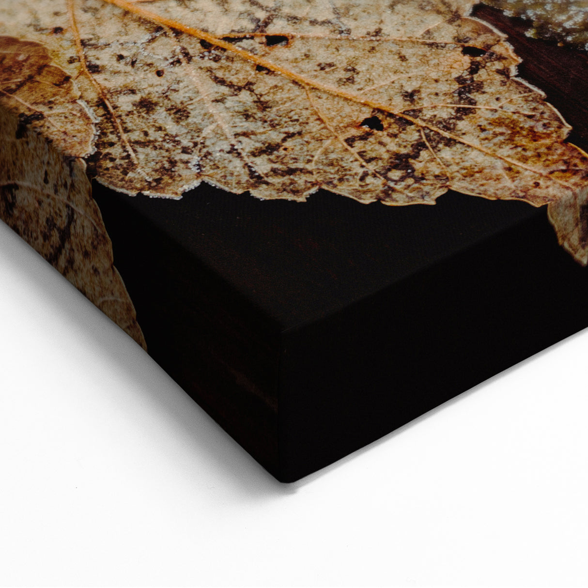 Frosted Autumn Leaves – Fall Wall Art for Rustic Seasonal Decor