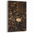 Enchanted Forest Mushroom – Fall Wall Art for Nature Lovers