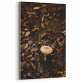 Enchanted Forest Mushroom – Fall Wall Art for Nature Lovers