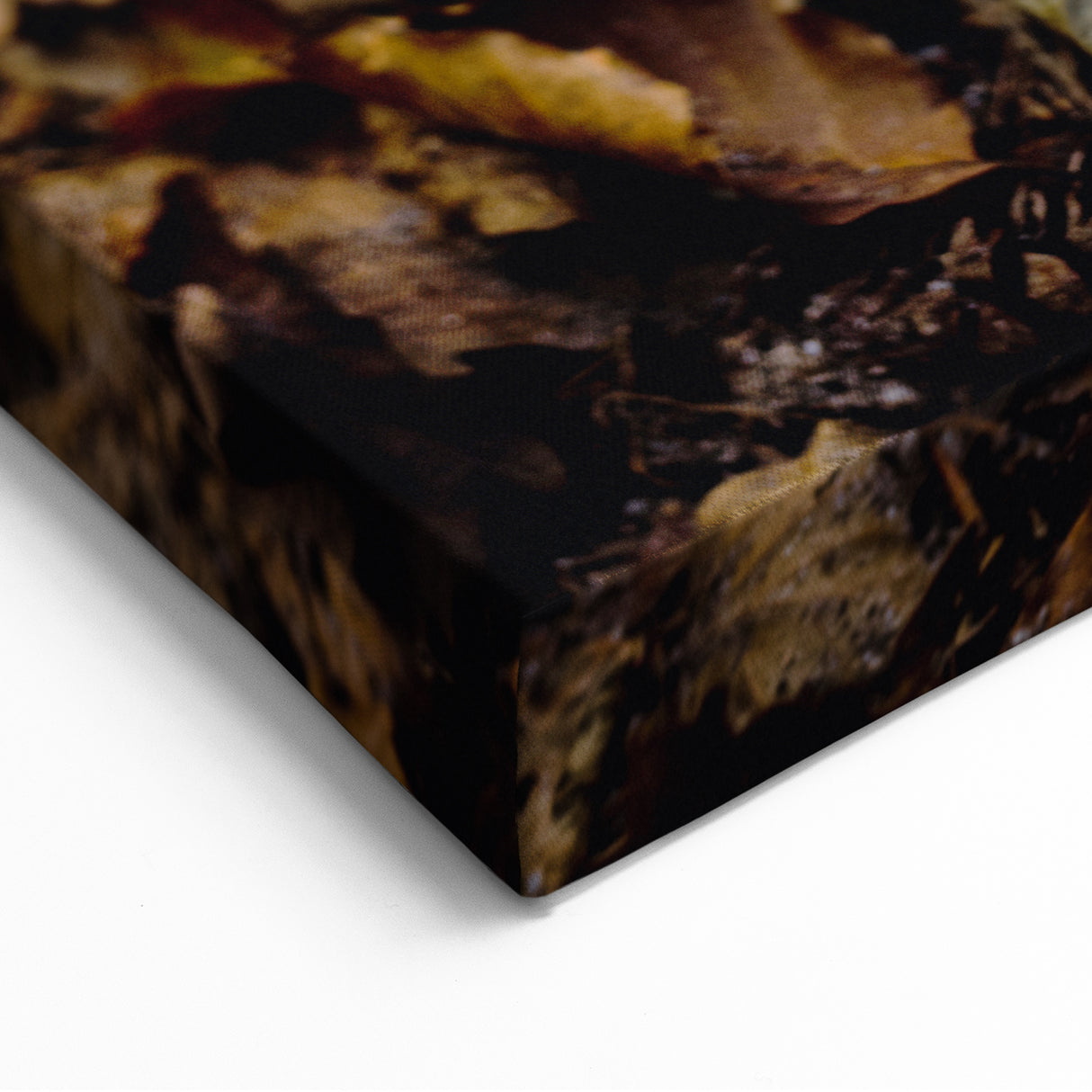 Enchanted Forest Mushroom – Fall Wall Art for Nature Lovers