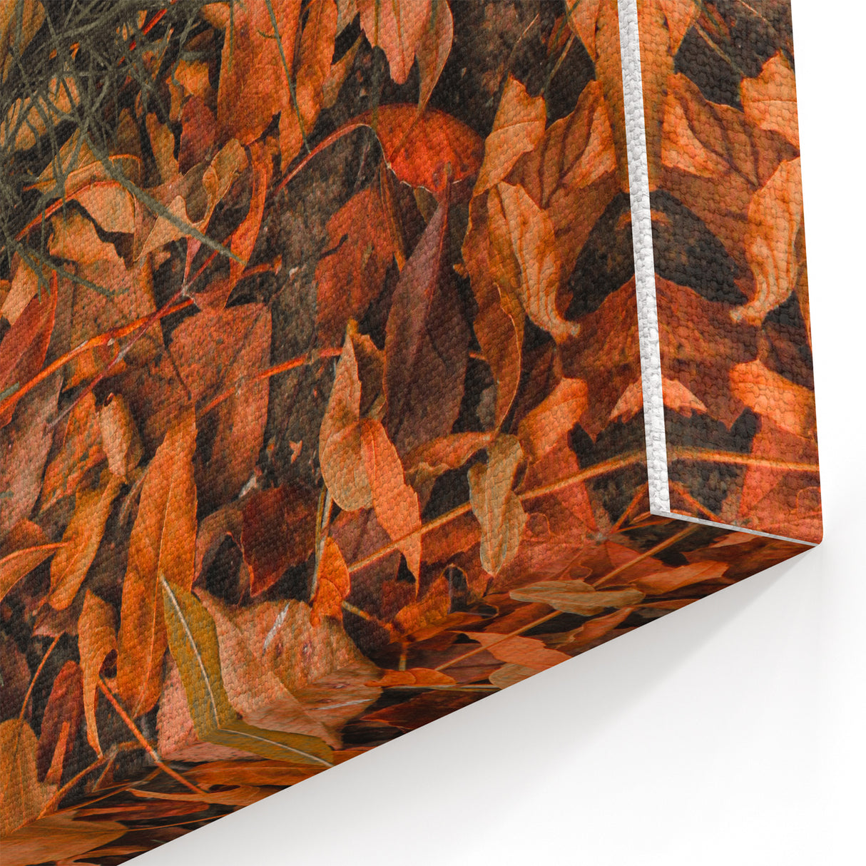 Golden Autumn Leaves – Fall Wall Art for Seasonal Elegance