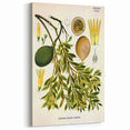 Botanical Art Prints – Vintage Botanical Illustration Art