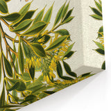 Botanical Art Prints – Vintage Botanical Illustration Art