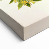 Botanical Art Prints – Vintage Botanical Illustration Art