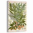 Botanical Art Prints – Vintage Botanical Illustration Art