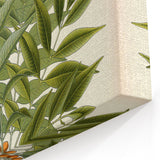 Botanical Art Prints – Vintage Botanical Illustration Art