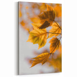 Golden Autumn Leaves Close-Up – Fall Wall Art for Seasonal Charm