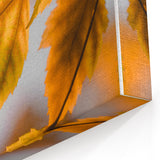 Golden Autumn Leaves Close-Up – Fall Wall Art for Seasonal Charm