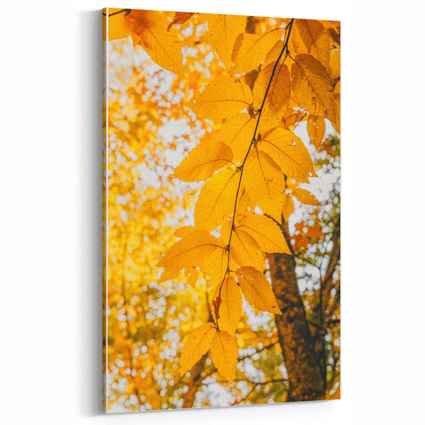Golden Yellow Leaves in Sunlight – Fall Wall Art for Cozy Decor