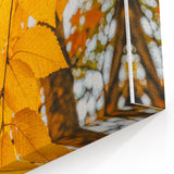 Golden Yellow Leaves in Sunlight – Fall Wall Art for Cozy Decor
