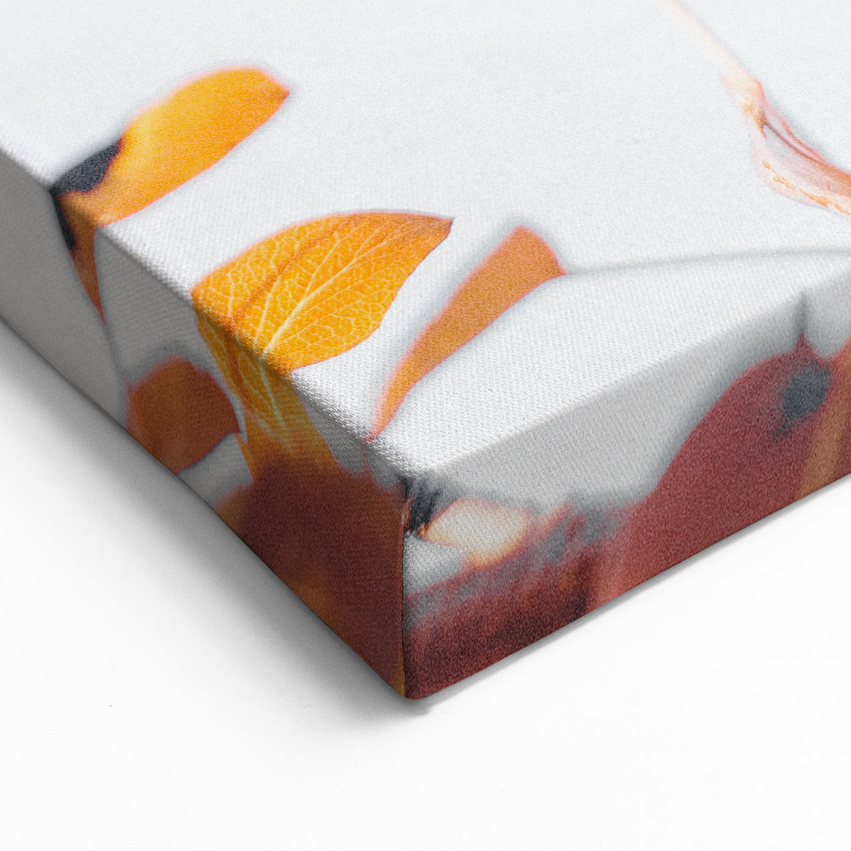 Soft Autumn Leaves Against Sky – Fall Wall Art for Serene Spaces