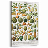 Vintage Botanical Art Prints – Nature-Inspired Fruit Illustration