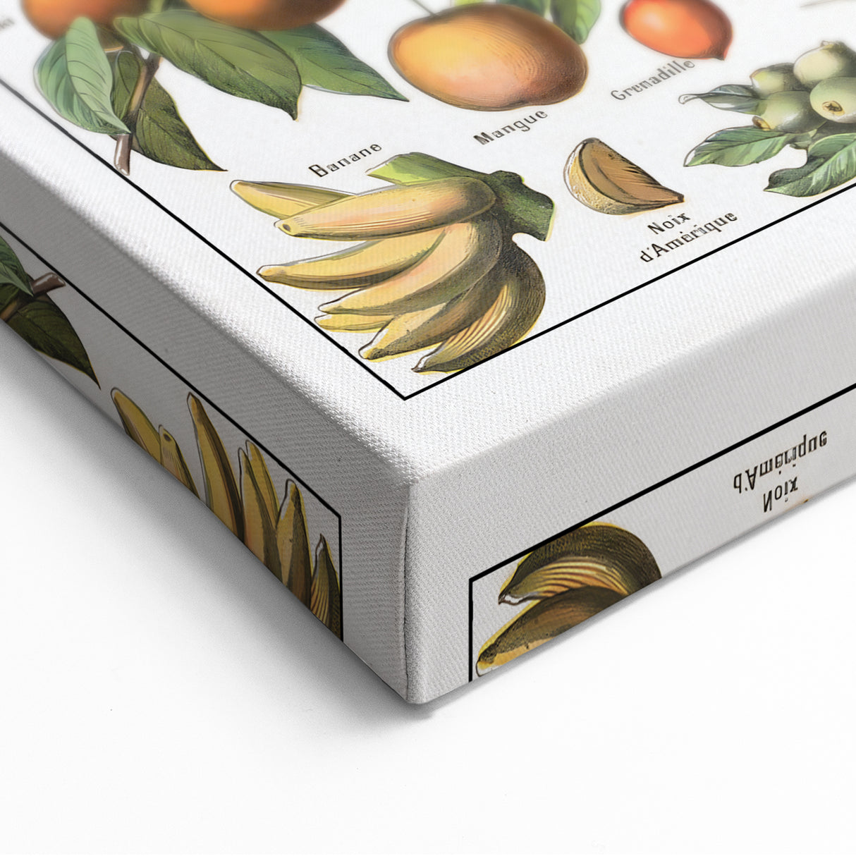 Vintage Botanical Art Prints – Fruits Collection Illustration