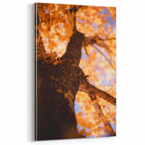 Golden Autumn Tree Perspective – Fall Wall Art for Warm Interiors