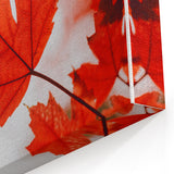 Vibrant Red Maple Leaves – Fall Wall Art for Seasonal Elegance