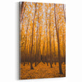 Golden Autumn Forest Path – Fall Wall Art for Tranquil Spaces