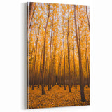 Golden Autumn Forest Path – Fall Wall Art for Tranquil Spaces
