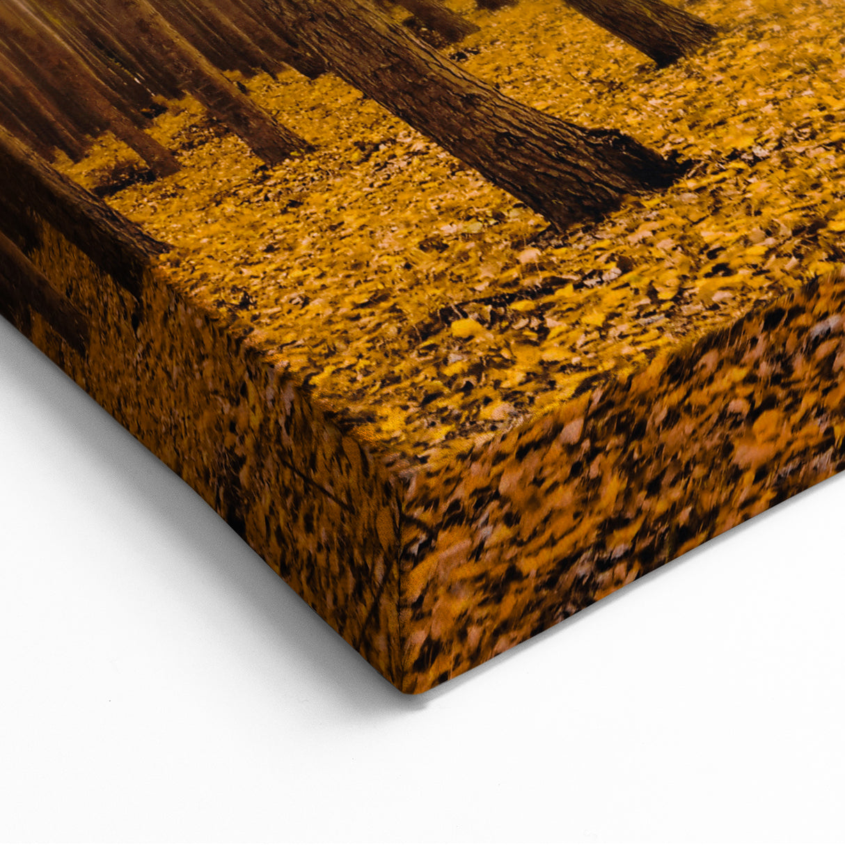 Golden Autumn Forest Path – Fall Wall Art for Tranquil Spaces