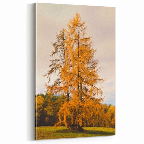 Golden Autumn Tree in Meadow – Fall Wall Art for Nature Lovers