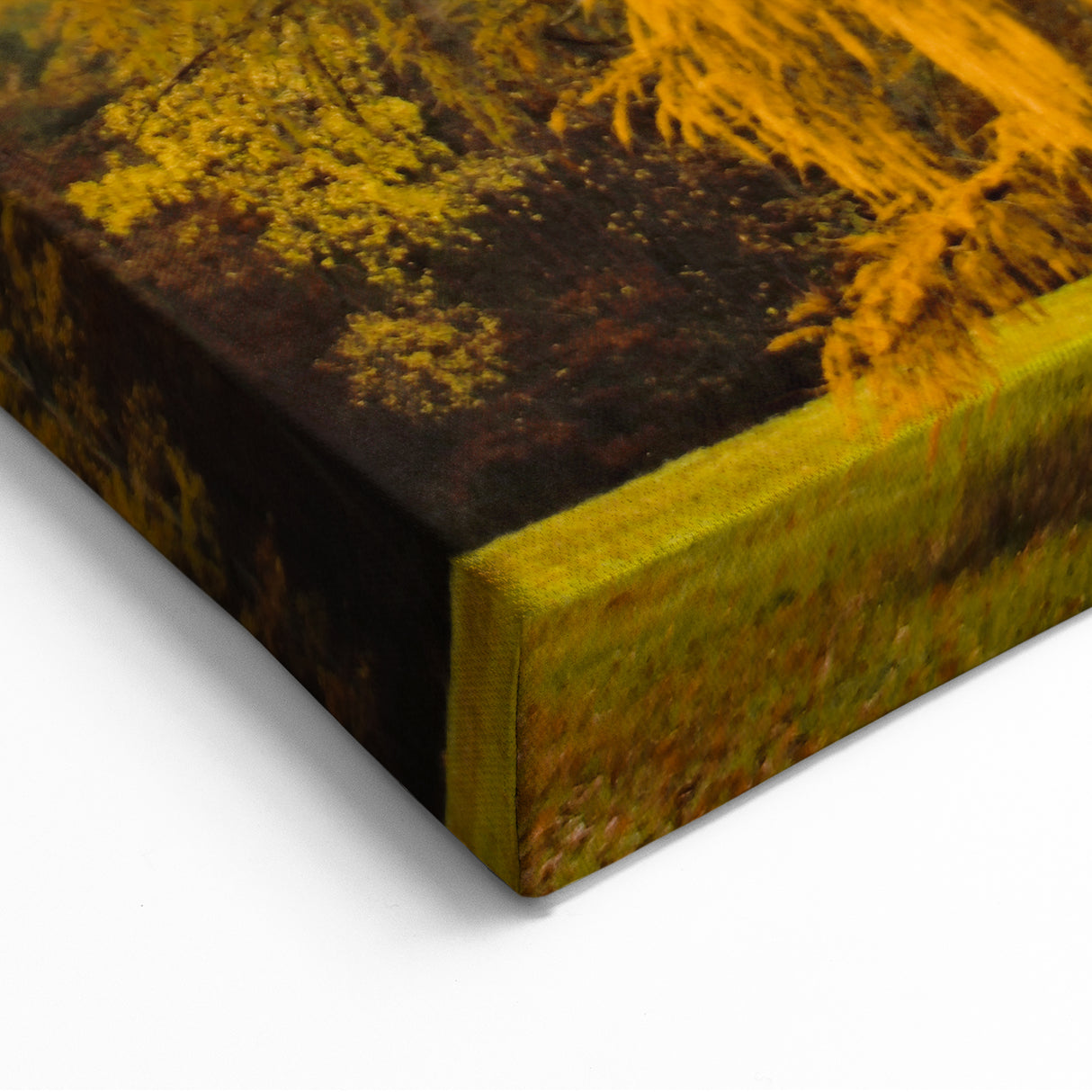 Golden Autumn Tree in Meadow – Fall Wall Art for Nature Lovers