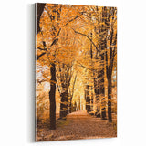 Golden Autumn Tree Tunnel – Fall Wall Art for Cozy Interiors