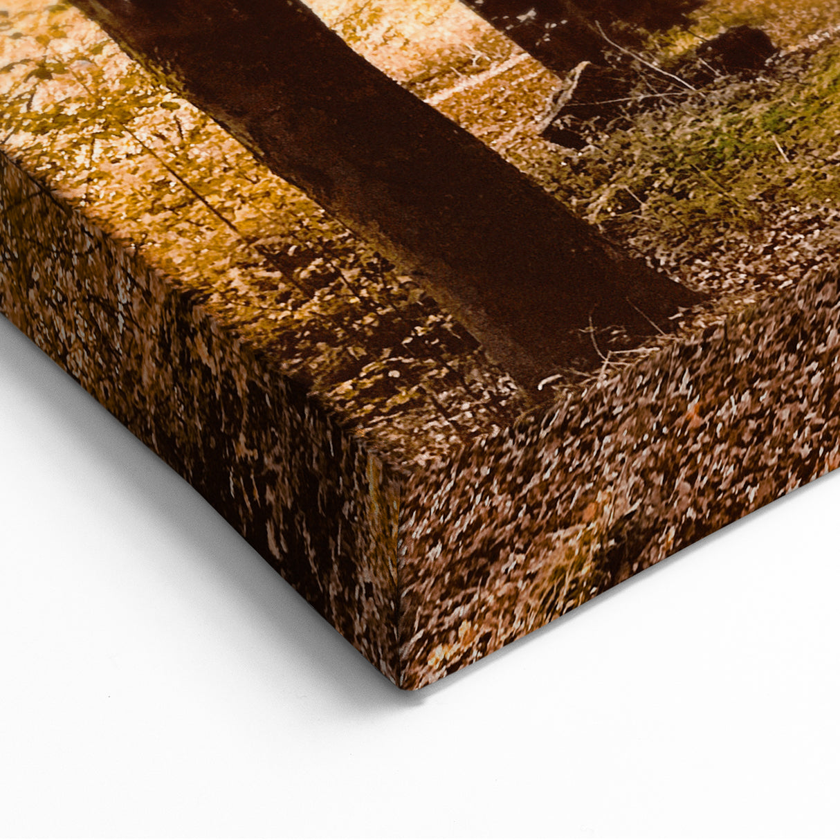 Golden Autumn Tree Tunnel – Fall Wall Art for Cozy Interiors