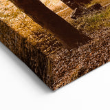 Golden Autumn Tree Tunnel – Fall Wall Art for Cozy Interiors