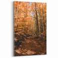 Autumn Forest Pathway – Fall Wall Art for Rustic and Cozy Spaces
