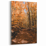 Autumn Forest Pathway – Fall Wall Art for Rustic and Cozy Spaces