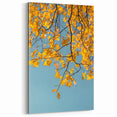 Golden Oak Leaves Against Blue Sky – Fall Wall Art for Bright Spaces