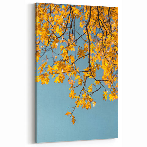 Golden Oak Leaves Against Blue Sky – Fall Wall Art for Bright Spaces